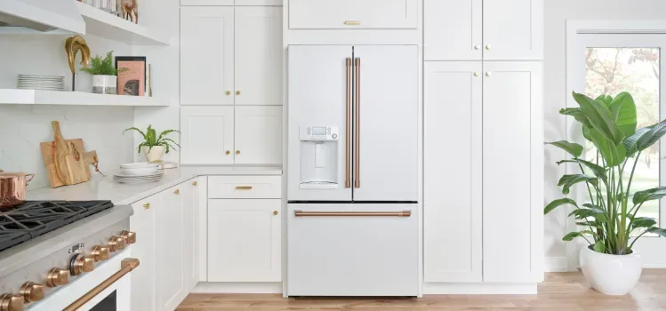 cafe-refrigerator